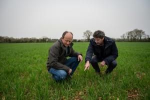 Chercheurs et agriculteurs coopèrent pour diminuer la dépendance aux produits chimiques