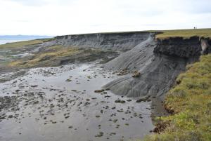 Climat : en Europe, la fonte inéluctable de tourbières gelées riches en carbone