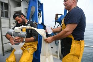 Des scientifiques et la Marine répertorient la biodiversité océanique