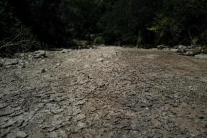 Plus chaudes, plus sèches : les nouvelles normales saisonnières de Météo-France