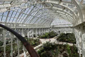 Une nouvelle espèce de nénuphar géant découverte à Kew Gardens