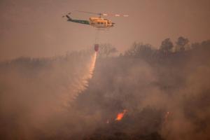 Canicule en Europe : le Royaume-Uni et la France inquiets de possibles records de chaleur