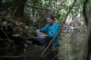 Inventaire de la faune et la flore en Amazonie