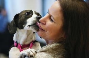 Les chiens pleurent lorsqu’ils retrouvent leur maître, montre une étude