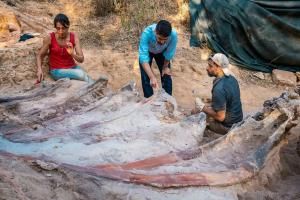 Portugal : un  dinosaure sauropode dans le jardin