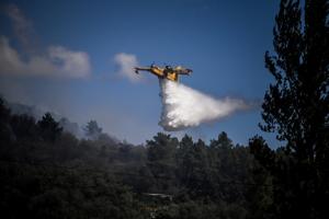 Sécheresse : 100 000 hectares brûlés au Portugal par les feux de forêt