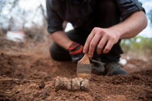 Le plus vieux dinosaure d’Afrique découvert au Zimbabwe