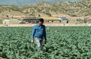 Le « potager » espagnol de l’Europe en proie à une « guerre de l’eau »