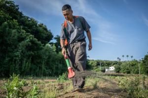 Le Japon se tourne vers les engrais d&#039;origine humaine face à la poussée des prix 