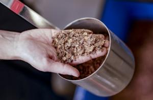 Du charbon à base de cacao face au réchauffement climatique 