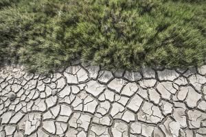  Sécheresse : 68 % des nappes phréatiques françaises toujours sous les normales