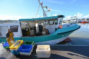 Verdir la flotte de pêche de l&#039;UE, un défi coûteux et de longue haleine