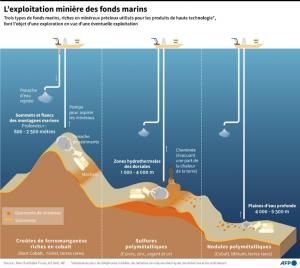 Entre Hawaï et le Mexique, une extraordinaire biodiversité dans les grands fonds marins