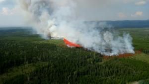 Les mégafeux de forêt canadiens ont émis l&#039;équivalent de plus d&#039;un milliard de tonnes de CO2