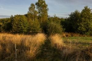 L&#039;UE parvient à un accord sur un texte clé sur la biodiversité