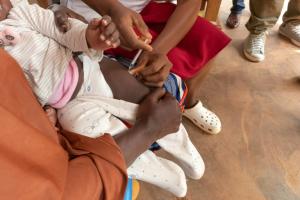 Le Cameroun lance la première vaccination systématique au monde contre le paludisme