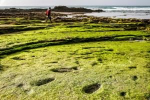 Découverte au Maroc d&#039;empreintes humaines datant de plus de 100 000 ans 