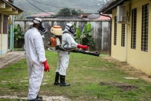 La Guyane confrontée à sa plus importante épidémie de dengue depuis 20 ans