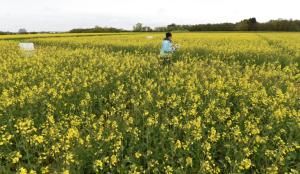 Les émissions de protoxyde d&#039;azote mettent en péril les objectifs climatiques