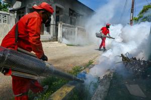 L’OMS lance la lutte mondiale contre la dengue 