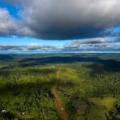 12 millions d’hectares de forêts tropicales détruites en 2018 