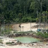 La destruction de la nature, une menace pour l&#039;Homme autant que le réchauffement 