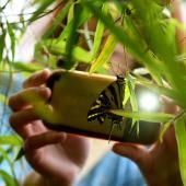 Envie de musarder utile cet été ? Faites des sciences participatives