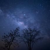 Les Nuits des étoiles, c’est ce week-end