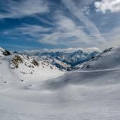 Climat : la biodiversité change autour des glaciers 