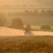 En France, l’échec de la politique de réduction des pesticides agricoles