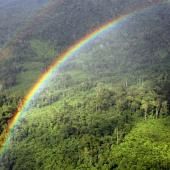 Les forêts tropicales pourraient relâcher du carbone avec le réchauffement climatique