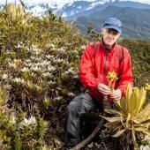 Découverte en Colombie d’une plante essentielle pour la préservation de l’eau 