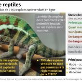 Le commerce non-réglementé de reptiles menace la biodiversité 