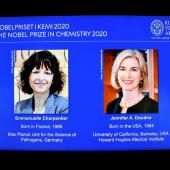 Un Nobel de chimie doublement féminin pour les « ciseaux génétiques »