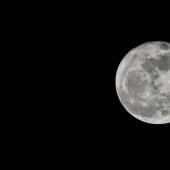 La Lune plus riche en eau que prévu