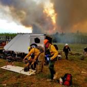 La fumée des feux de forêt, une source infectieuse à ne pas sous-estimer