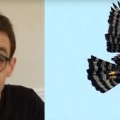 Voir la vidéo de En Amazonie, des aigles rois de l’imitation