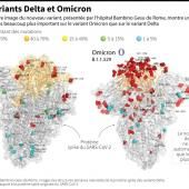 SARS-CoV-2 : Omicron, bien plus de mutations que Delta