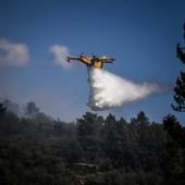 Sécheresse : 100 000 hectares brûlés au Portugal par les feux de forêt