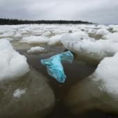  « Réutilisation, recyclage et alternative », la triple solution de l&#039;ONU contre la pollution plastique 