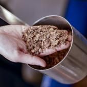 Du charbon à base de cacao face au réchauffement climatique 