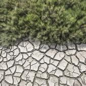  Sécheresse : 68 % des nappes phréatiques françaises toujours sous les normales