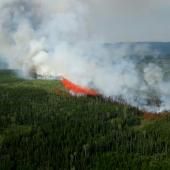 Les mégafeux de forêt canadiens ont émis l&#039;équivalent de plus d&#039;un milliard de tonnes de CO2