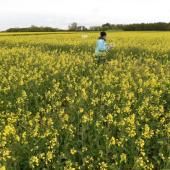 Les émissions de protoxyde d&#039;azote mettent en péril les objectifs climatiques